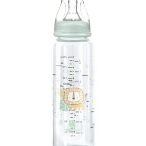 Шише стъклено 240мл  Savanna Mint