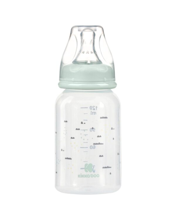 Шише РР 120мл Savanna Mint